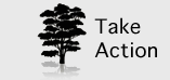 Take Action Take Action